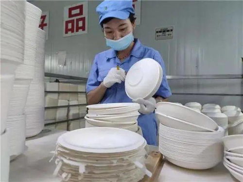 火了 廣西來賓用甘蔗渣生產環保餐具,一公司年產1萬噸食品級環保餐具